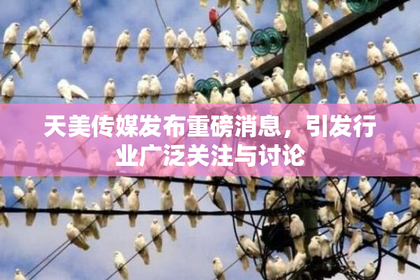 天美传媒发布重磅消息，引发行业广泛关注与讨论