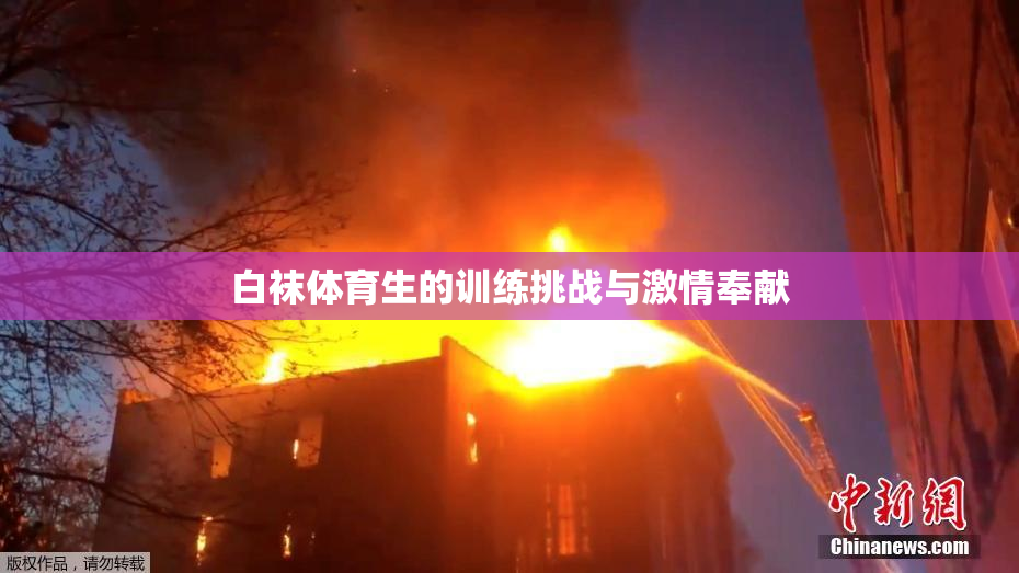 白袜体育生的训练挑战与激情奉献