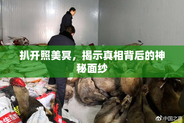 扒开照美冥，揭示真相背后的神秘面纱