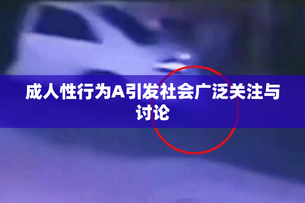 成人性行为A引发社会广泛关注与讨论