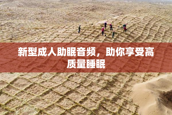 新型成人助眠音频，助你享受高质量睡眠