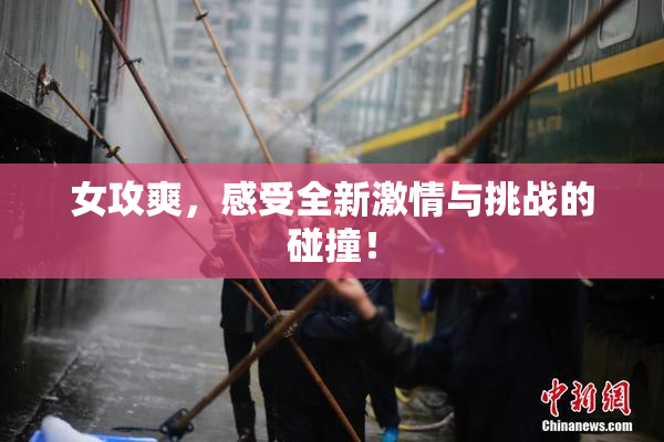 女攻爽，感受全新激情与挑战的碰撞！