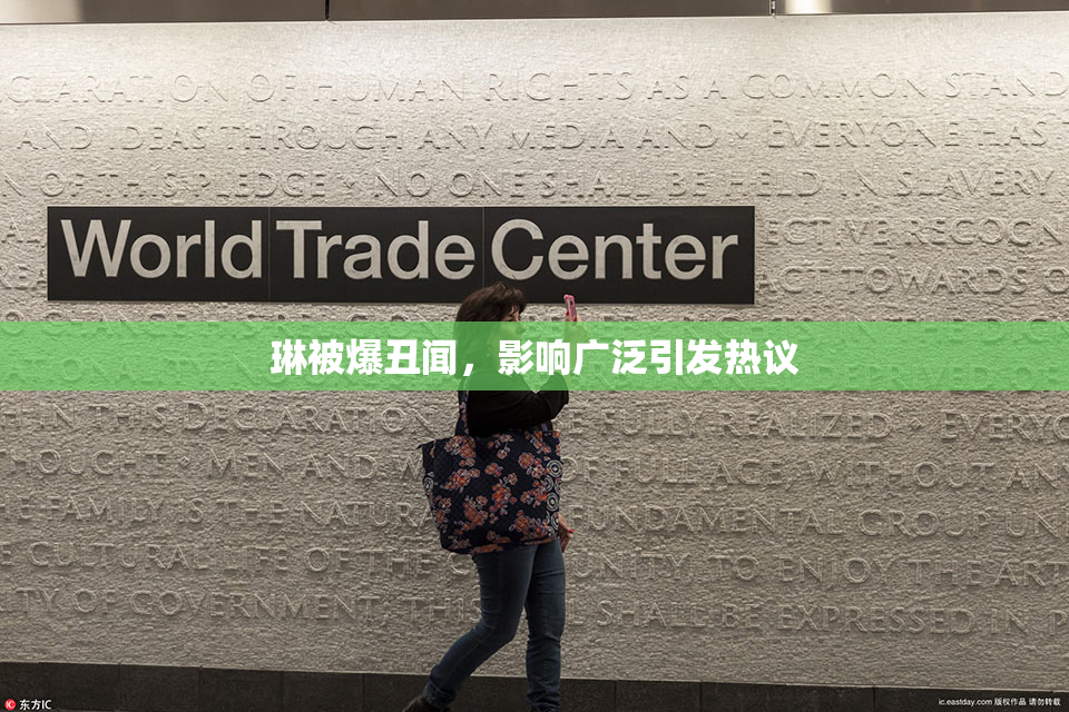 琳被爆丑闻，影响广泛引发热议
