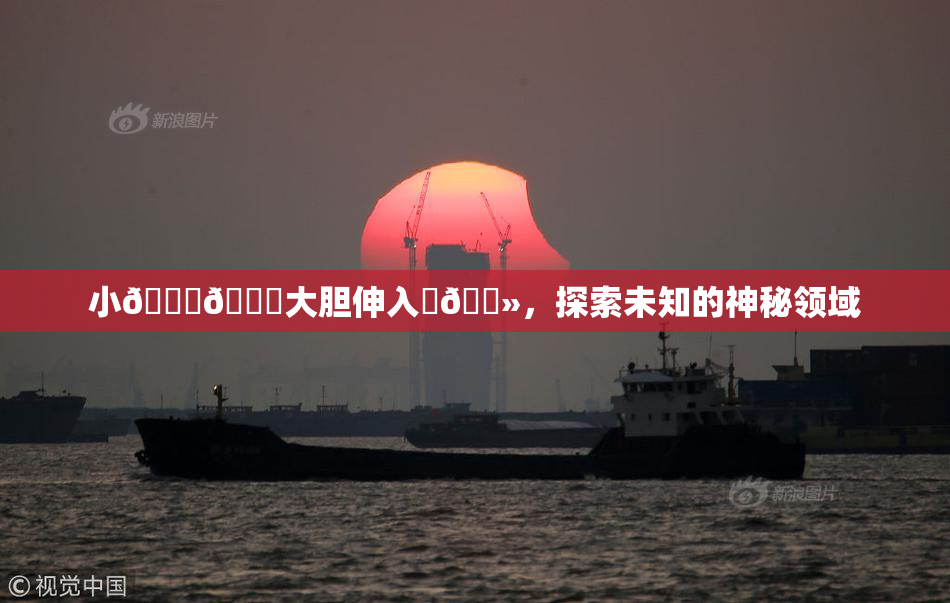 小🐔🐔大胆伸入‌🐻，探索未知的神秘领域