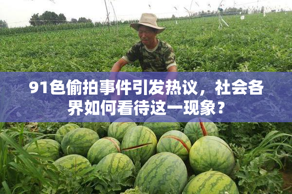91色偷拍事件引发热议，社会各界如何看待这一现象？