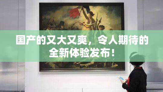 国产的又大又爽，令人期待的全新体验发布！