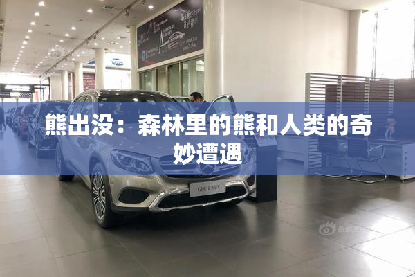 熊出没：森林里的熊和人类的奇妙遭遇