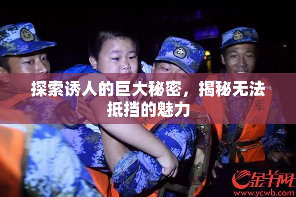 探索诱人的巨大秘密，揭秘无法抵挡的魅力