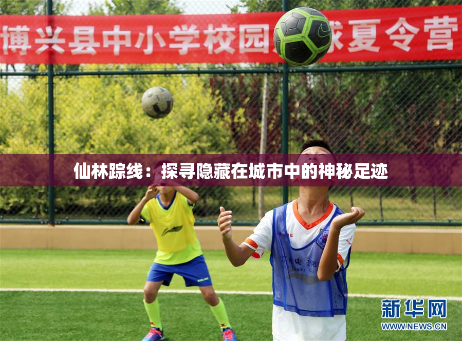仙林踪线：探寻隐藏在城市中的神秘足迹