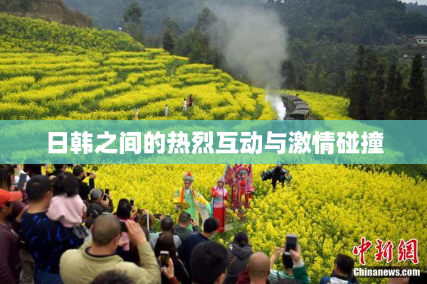 日韩之间的热烈互动与激情碰撞