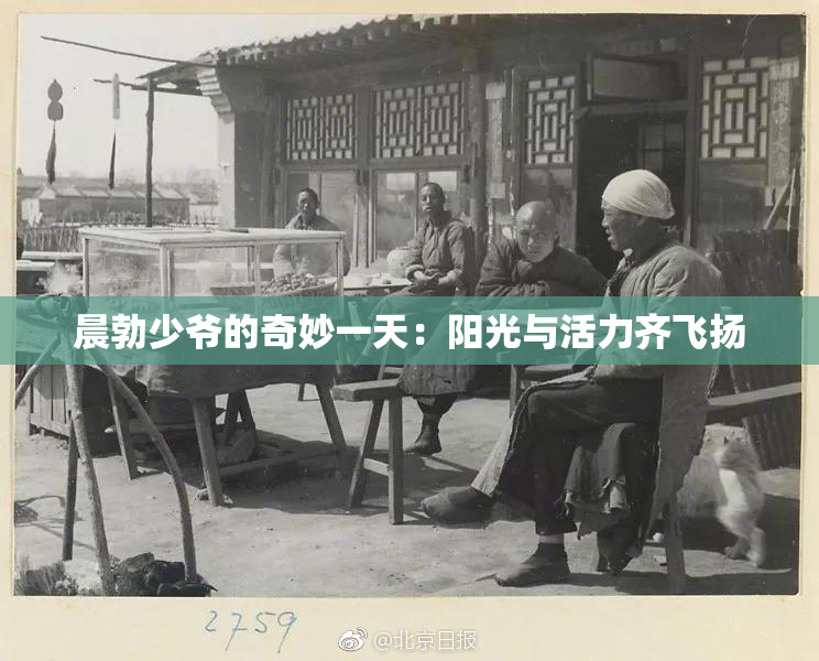 晨勃少爷的奇妙一天：阳光与活力齐飞扬