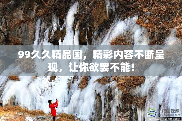 99久久精品国，精彩内容不断呈现，让你欲罢不能！