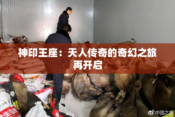 神印王座：天人传奇的奇幻之旅再开启