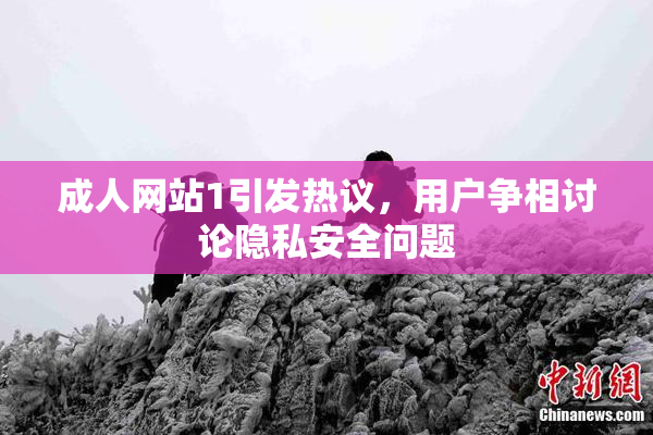 成人网站1引发热议，用户争相讨论隐私安全问题