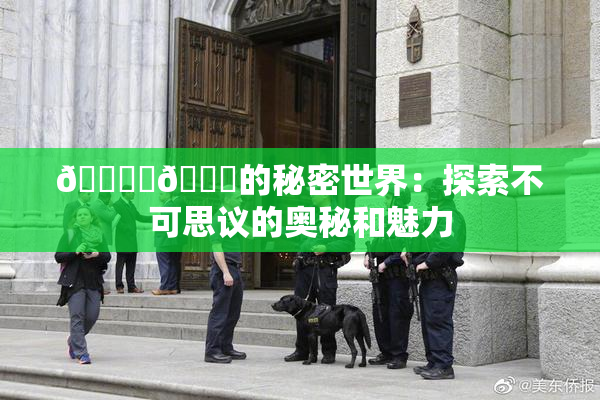 🔞‌🍌的秘密世界：探索不可思议的奥秘和魅力