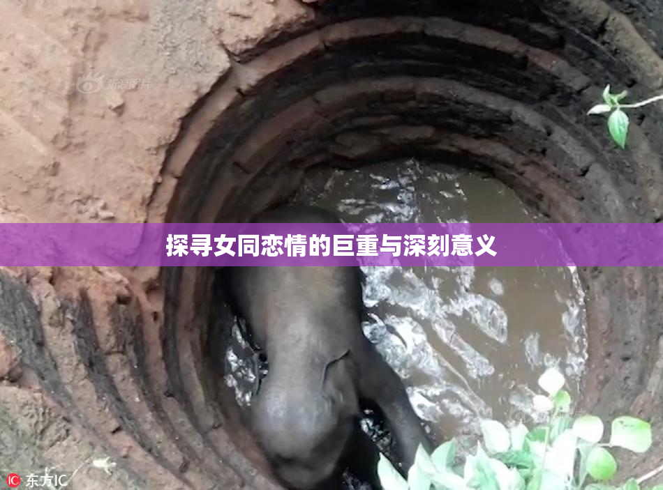探寻女同恋情的巨重与深刻意义