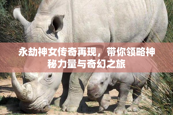 永劫神女传奇再现，带你领略神秘力量与奇幻之旅