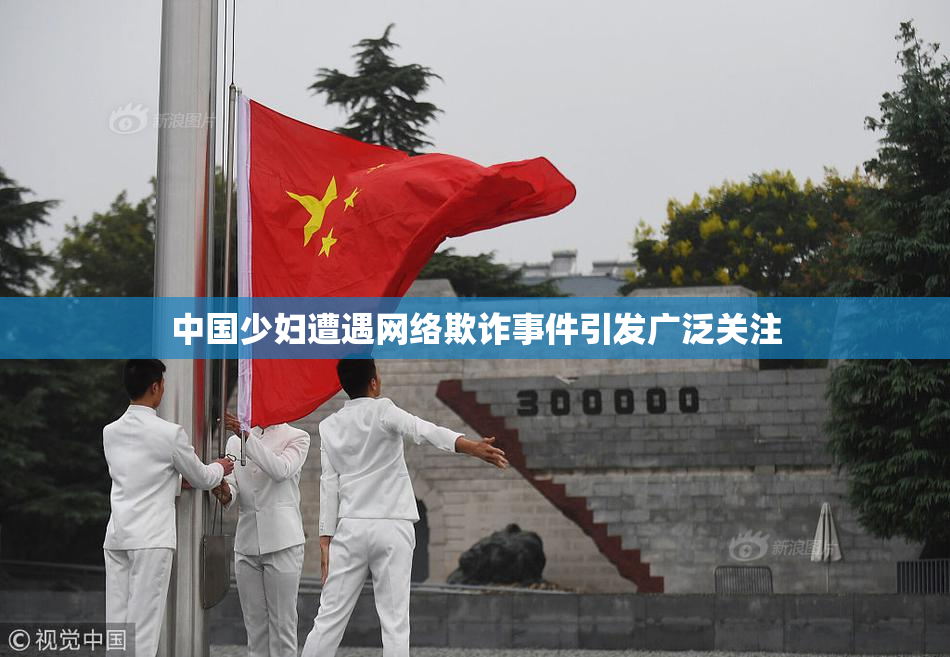 中国少妇遭遇网络欺诈事件引发广泛关注