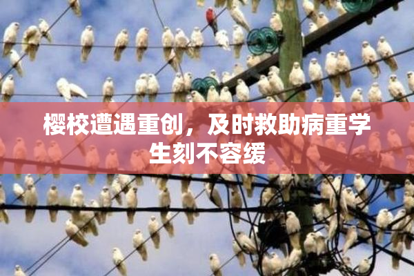 樱校遭遇重创，及时救助病重学生刻不容缓