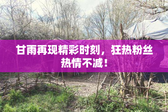 甘雨再现精彩时刻，狂热粉丝热情不减！