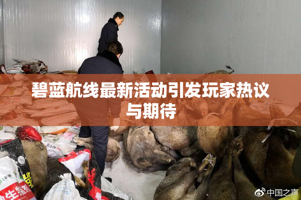 碧蓝航线最新活动引发玩家热议与期待