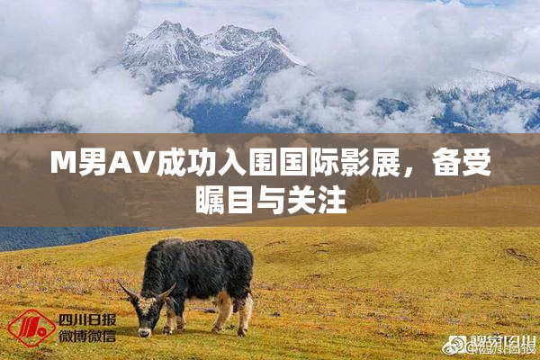 M男AV成功入围国际影展，备受瞩目与关注