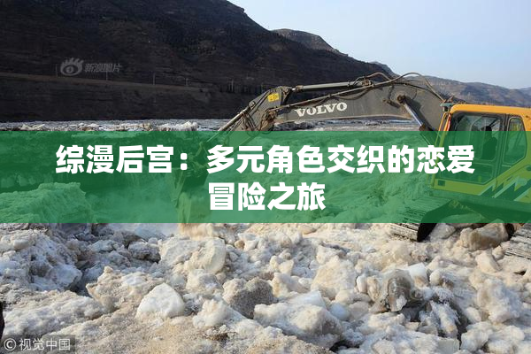 综漫后宫：多元角色交织的恋爱冒险之旅