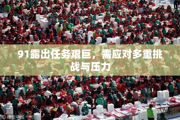 91露出任务艰巨，需应对多重挑战与压力