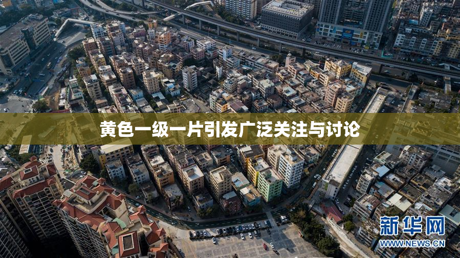 黄色一级一片引发广泛关注与讨论