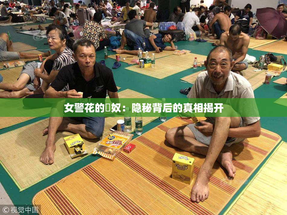 女警花的婬奴：隐秘背后的真相揭开
