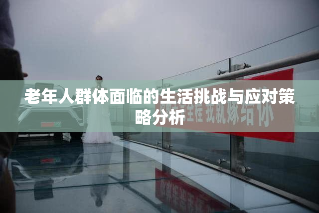 老年人群体面临的生活挑战与应对策略分析