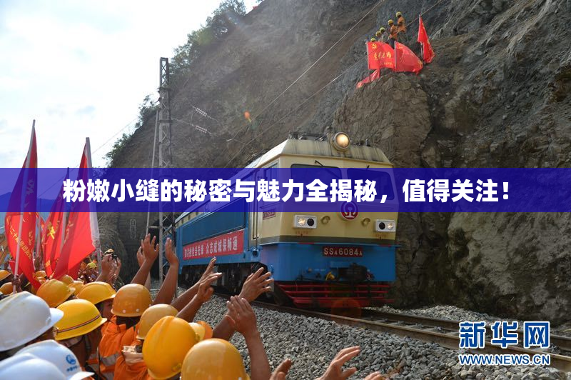 粉嫩小缝的秘密与魅力全揭秘，值得关注！