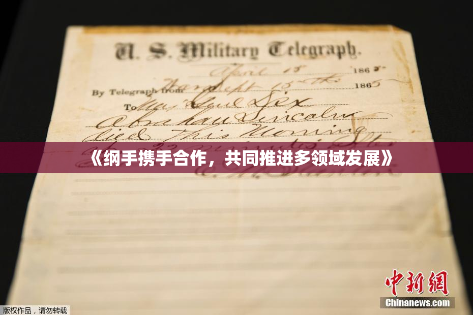 《纲手携手合作，共同推进多领域发展》