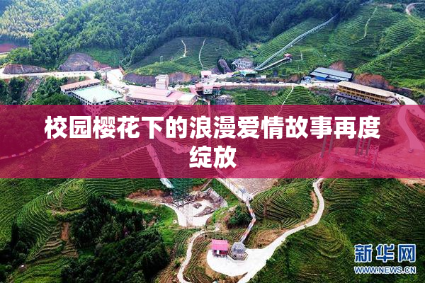 校园樱花下的浪漫爱情故事再度绽放