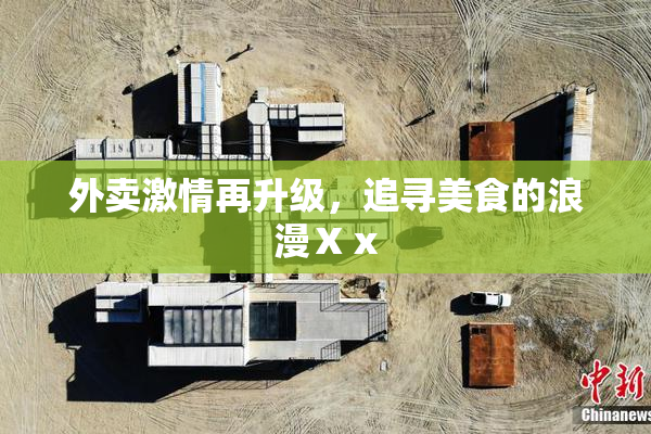 外卖激情再升级，追寻美食的浪漫Ⅹⅹ