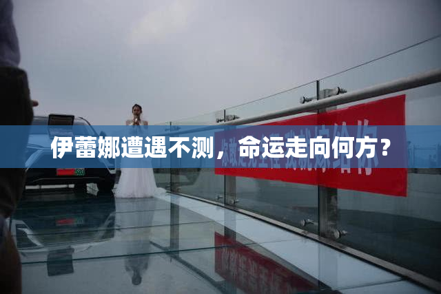 伊蕾娜遭遇不测，命运走向何方？