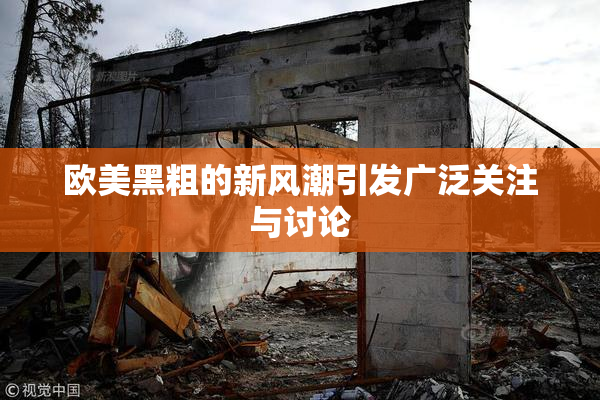欧美黑粗的新风潮引发广泛关注与讨论