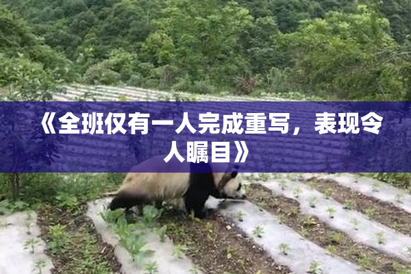 《全班仅有一人完成重写，表现令人瞩目》