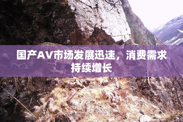 国产AV市场发展迅速，消费需求持续增长