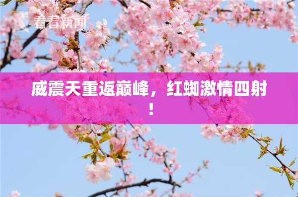 威震天重返巅峰，红蜘激情四射！