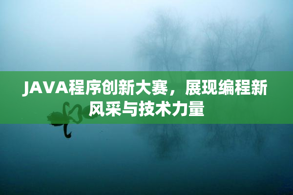 JAVA程序创新大赛，展现编程新风采与技术力量