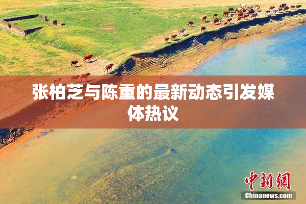 张柏芝与陈重的最新动态引发媒体热议