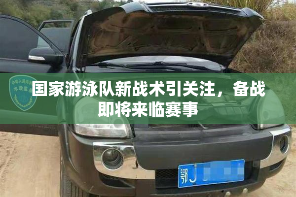 国家游泳队新战术引关注，备战即将来临赛事