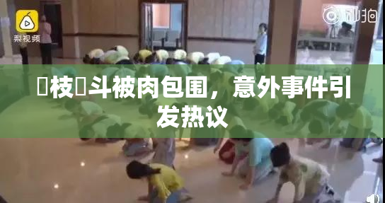 狛枝凪斗被肉包围，意外事件引发热议
