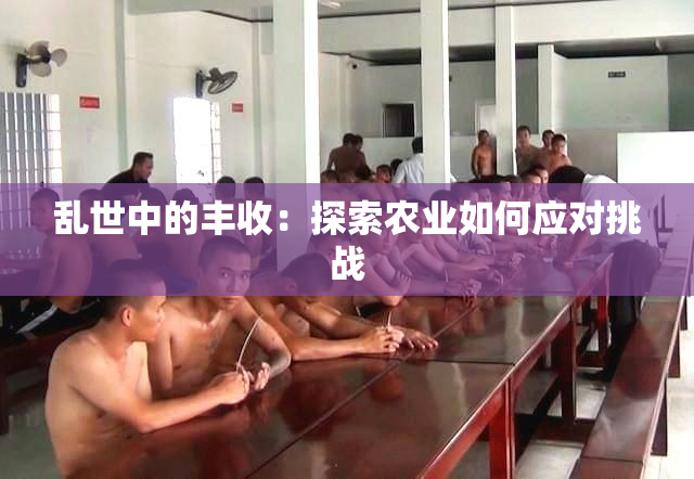 乱世中的丰收：探索农业如何应对挑战