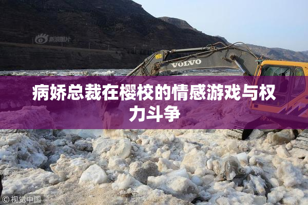 病娇总裁在樱校的情感游戏与权力斗争