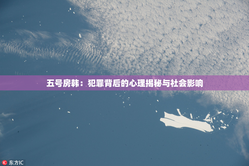 五号房韩：犯罪背后的心理揭秘与社会影响