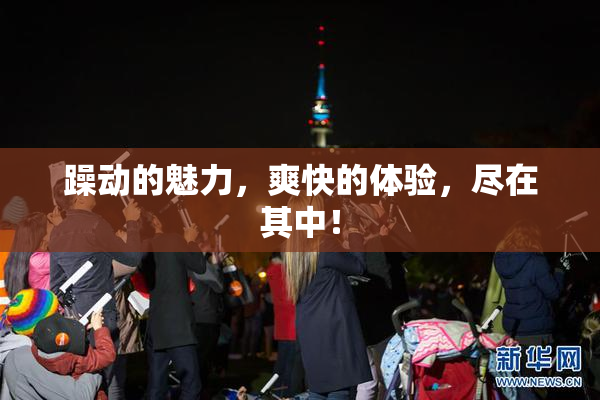 躁动的魅力，爽快的体验，尽在其中！