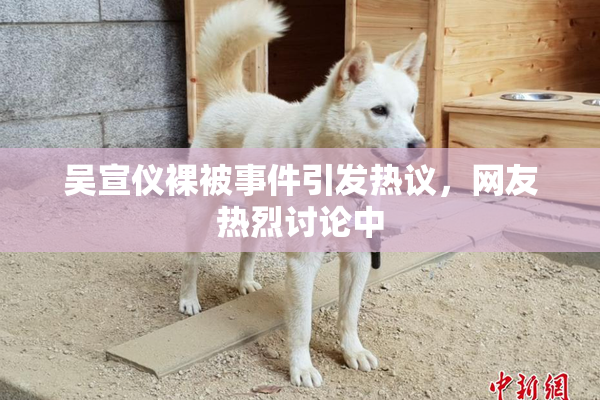 吴宣仪裸被事件引发热议，网友热烈讨论中