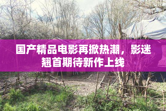 国产精品电影再掀热潮，影迷翘首期待新作上线